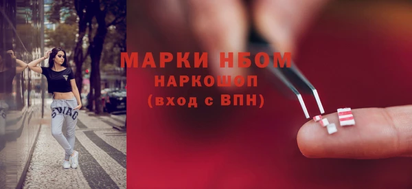 стафф Карпинск