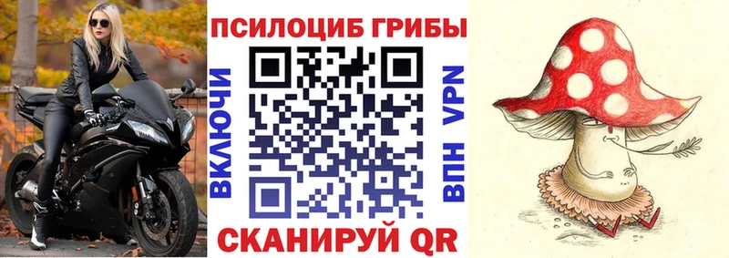 Псилоцибиновые грибы MAGIC MUSHROOMS  hydra маркетплейс  Краснотурьинск 