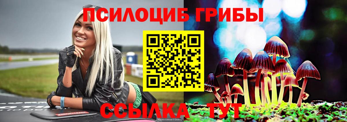 Галлюциногенные грибы прущие грибы Краснотурьинск
